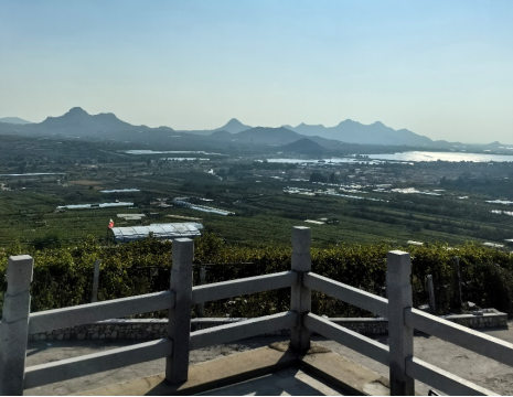 平度大澤山葡萄園引進(jìn)萊恩德土壤肥料檢測(cè)儀， 輕松掌握土壤營(yíng)養(yǎng)